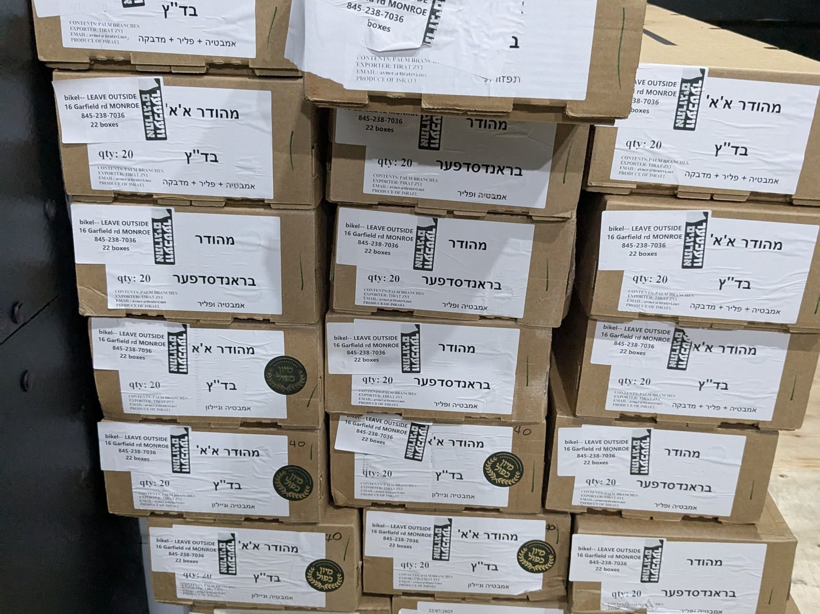 B&G Junk Removal Services